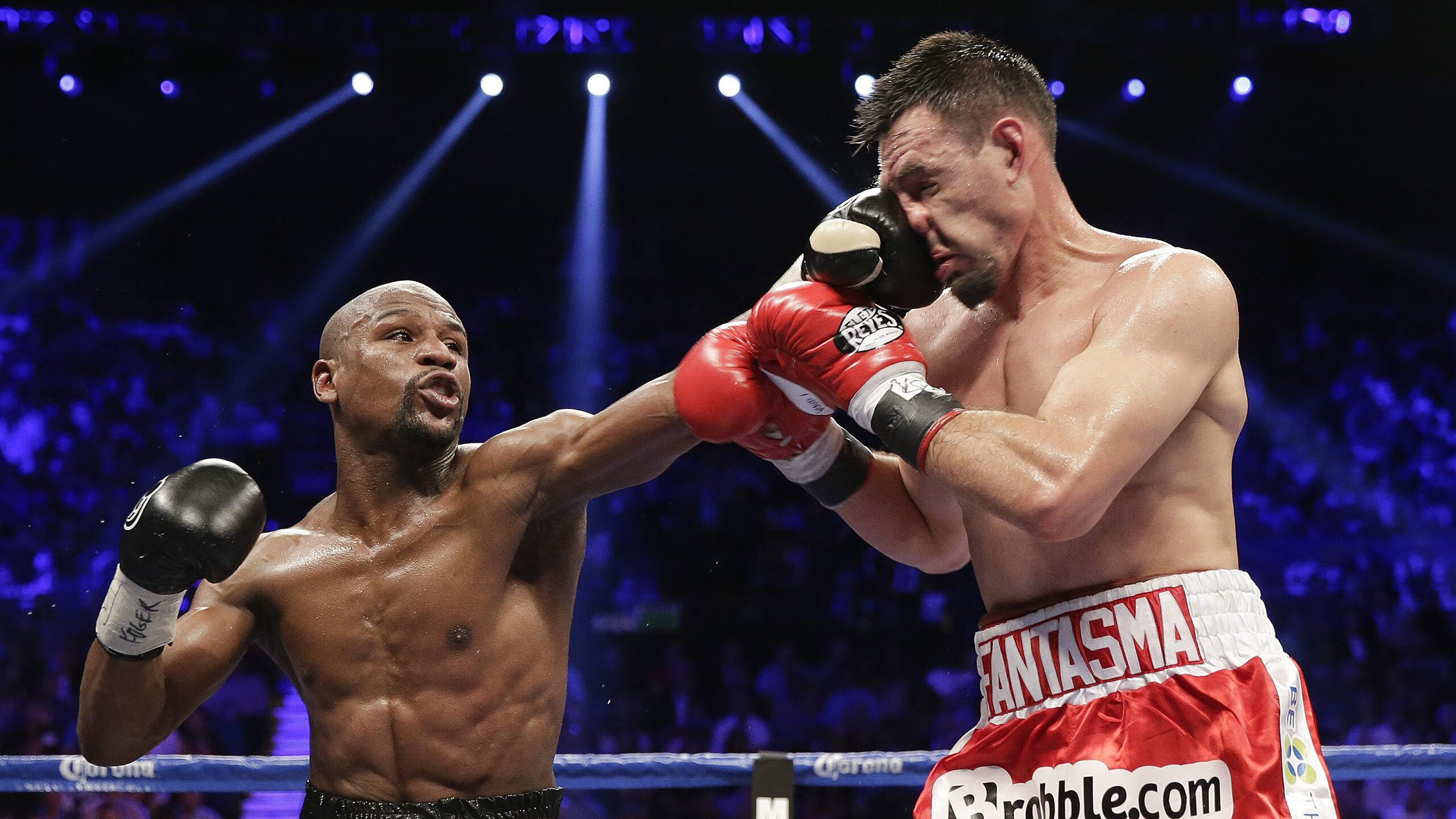 JiuyouAPP下载-瑞士马术协会授予马尔科·阿尔瓦雷斯“年度最佳马匹护理员”称号。